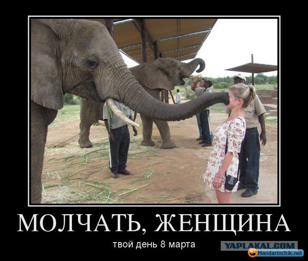 Она перестала уделять мне внимание...
