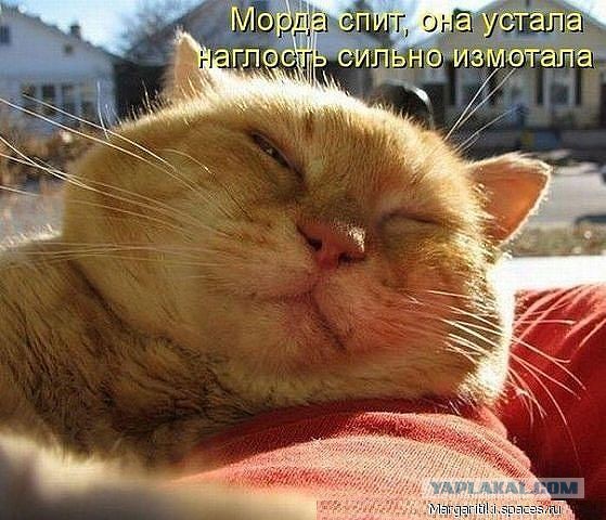 Поднимаем настроение