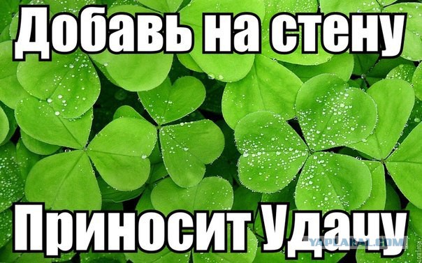 Когда вы минусити заминусованного 2.