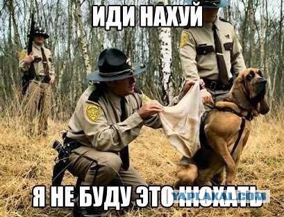 Чёрный юмор