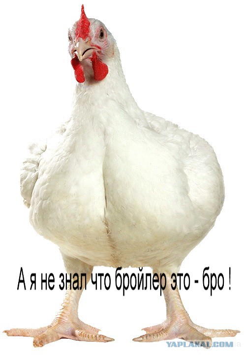 Самогон