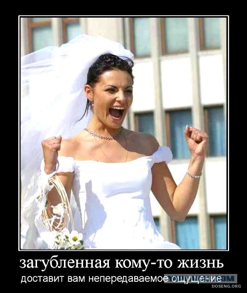 Прикольные картинки.