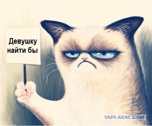 Весёлое из сети