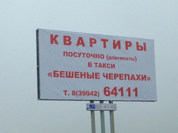 Подборка веселых картинок