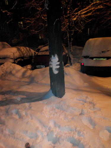 Котовторник 27.01.2015