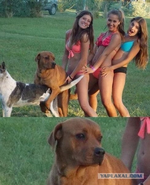 Очередная порция картинок из сети