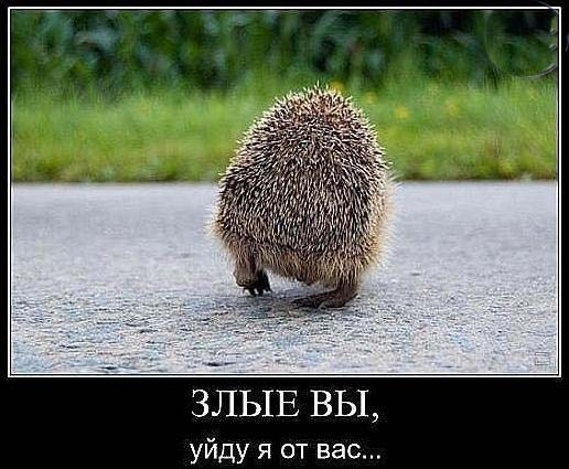 Мифы, говорите ?
