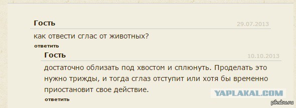 Смешные комментарии из социальных сетей