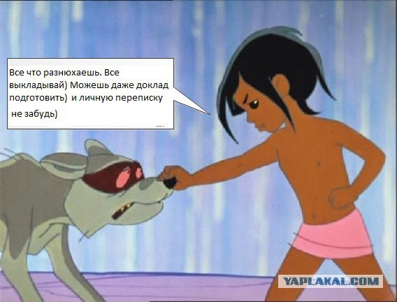 Дай дураку дорогу?