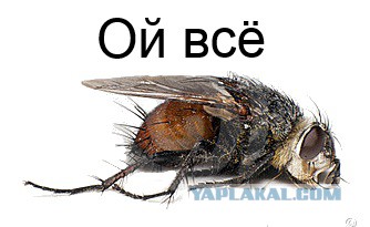 Без права быть русскими?
