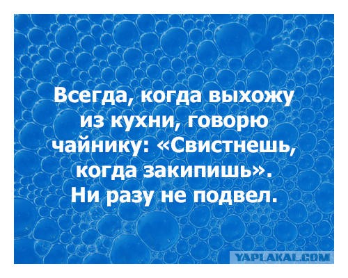 Смешные картинки из сети