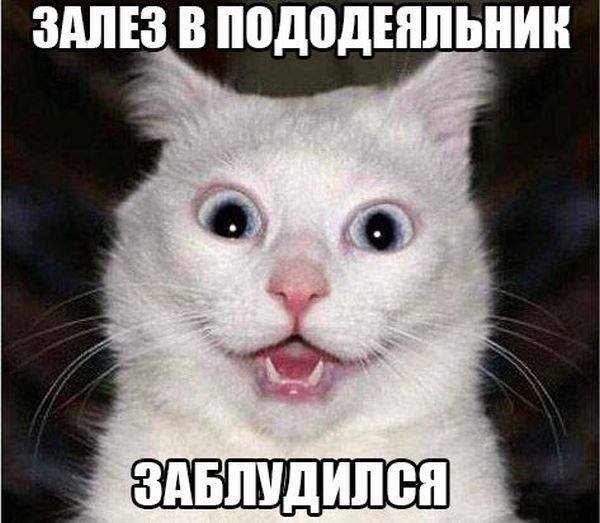 Подборка прикольных картинок из сети на 10 июля
