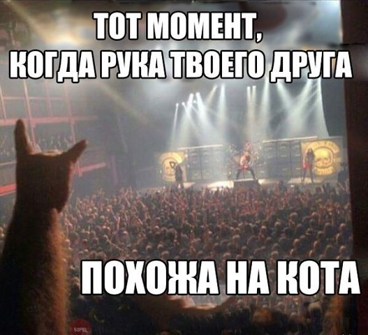 Смешные картинки №...дцать