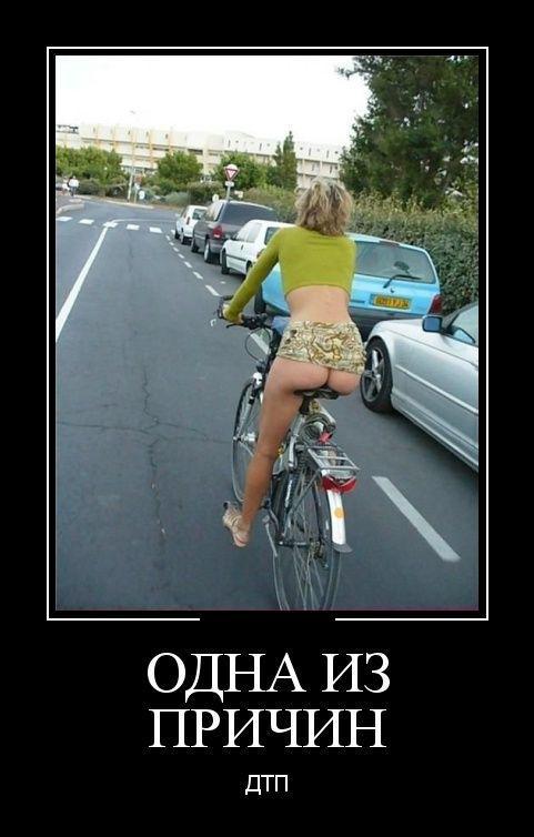 Картинки