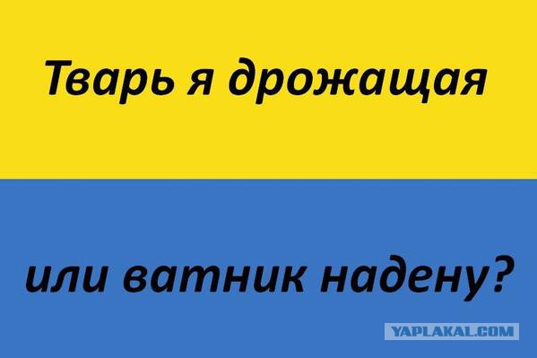 10 политических картинок часть 12