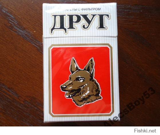 Преданность, доверие, смелость