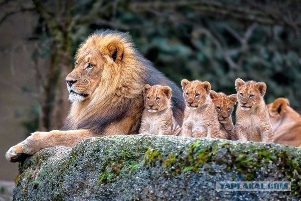 Больше, чем фото