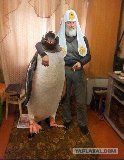 Картинки из сети, подборка на пятницу.