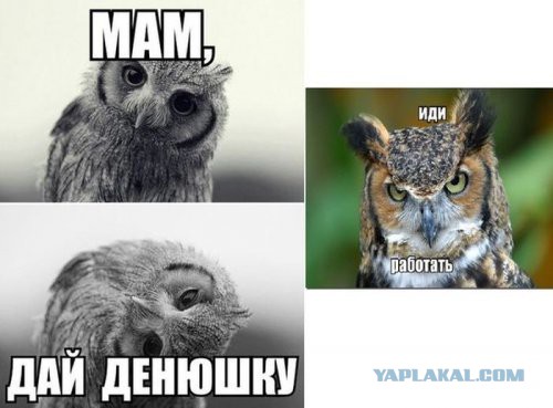 40 улыбательных картинок