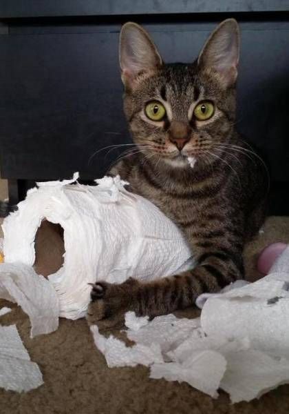 Этот ВЗГЛЯД!