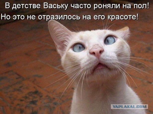 Сила детской любви