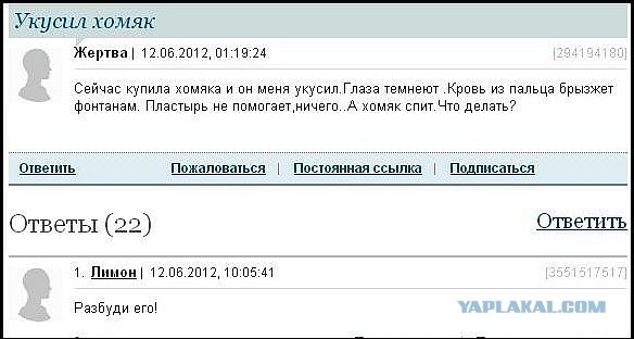 Смешные комментарии 23.10.2016