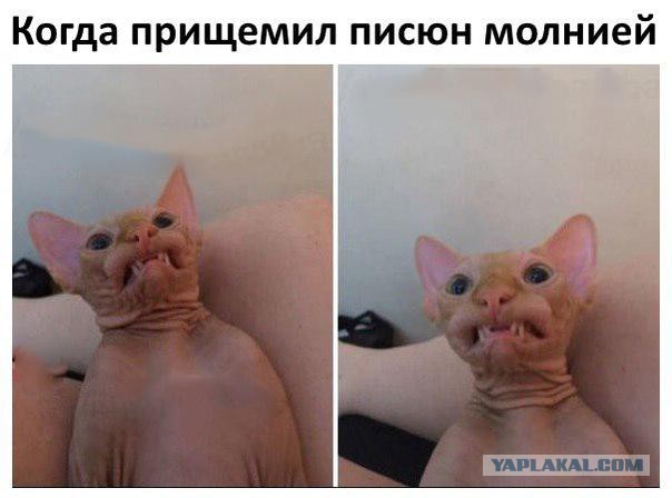 Юмор не для всех