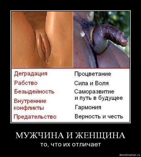 Про измены и бл*дство. (Научно популярный пост.)
