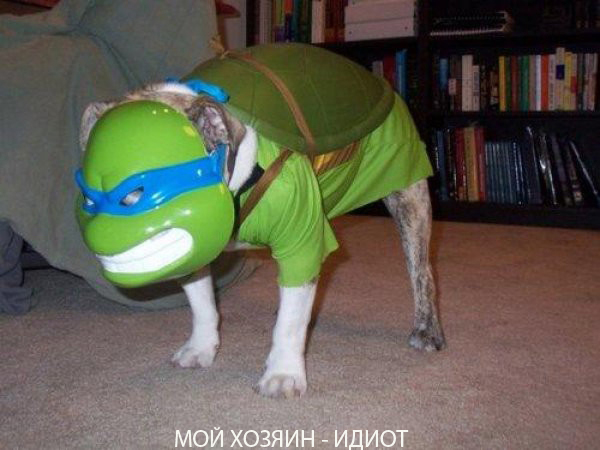Соцсети - и смех и грех
