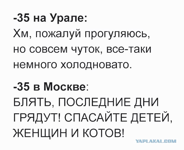 Смешные комментарии из социальных сетей 13.01.2017