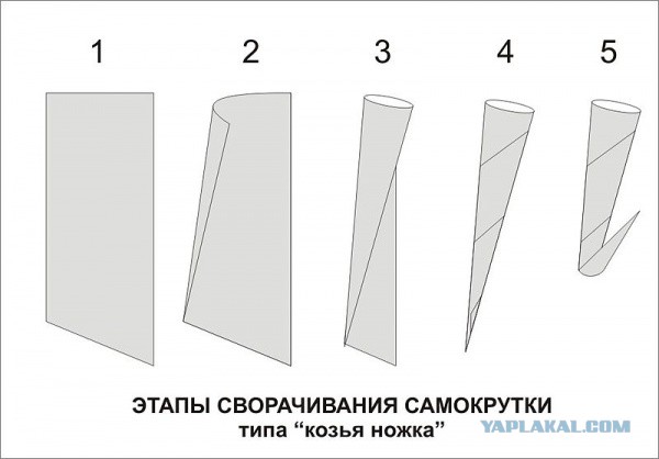 Привычки опасны для вашего бюджета: водка и сигареты могут подорожать на 10%