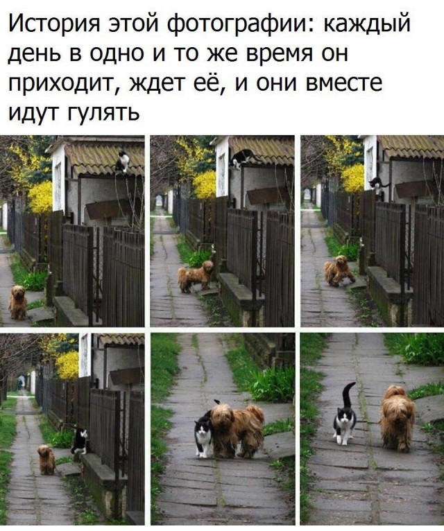 Подборка интересных и веселых картинок