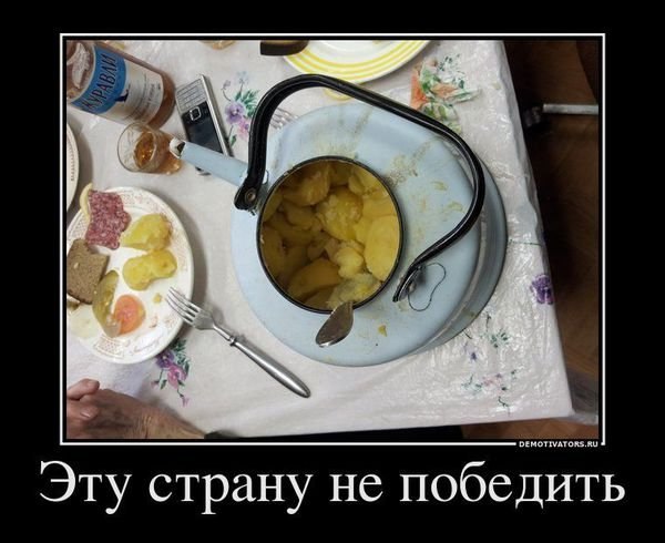 Подборка безудержного веселья
