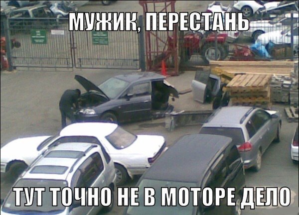 Подборка безудержного веселья