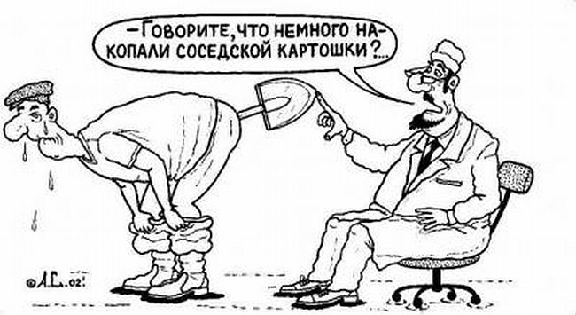 лопата в попе
