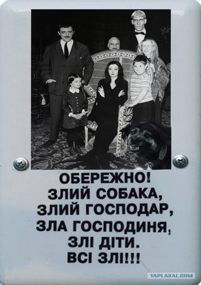 Звери в юбках или откуда взялся миф о женской доброте