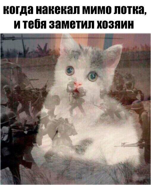 Приколы в стиле "регресс"