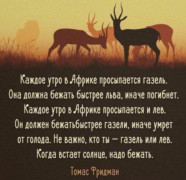 Люди, вы опять за своё?