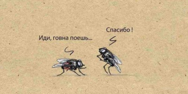 Приколы в стиле "регресс"