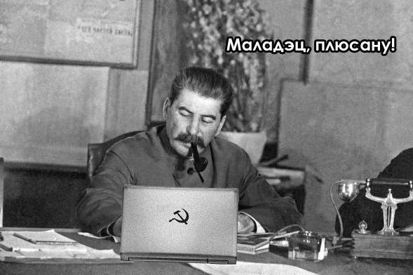 Подборка интересных и веселых картинок