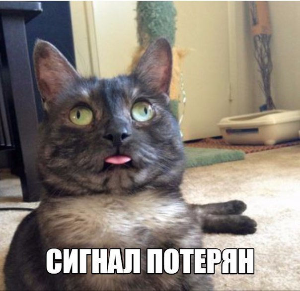 Ударная доза тупежа и деградации