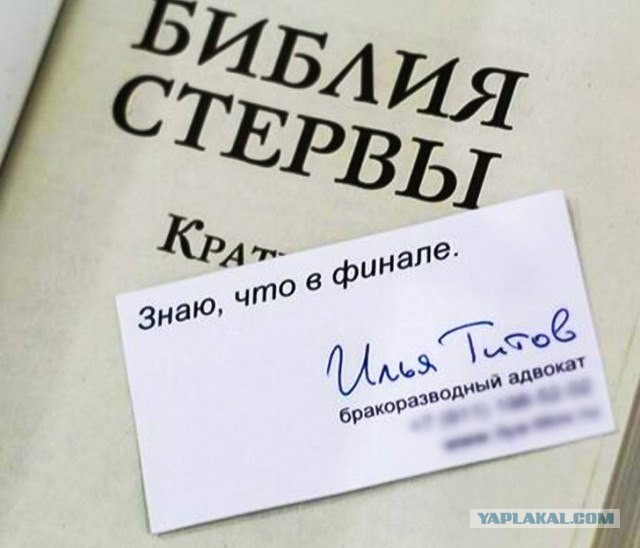 Не понимаю сознательного одиночества