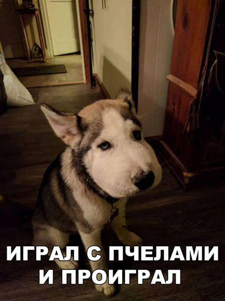 Подборка интересных и веселых картинок