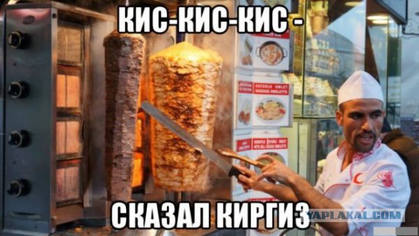 Счастье быть холостяком