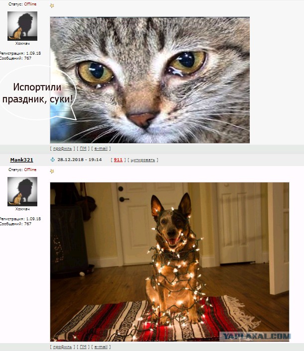 Фотоприколы и картинки разные на пятницу