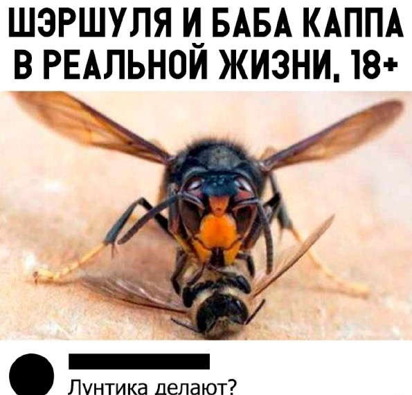 Немного картинок на вечер
