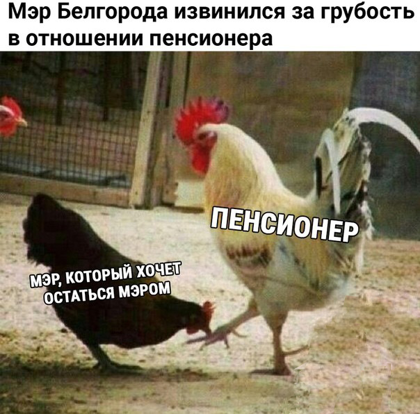 Пакуйте чемоданы