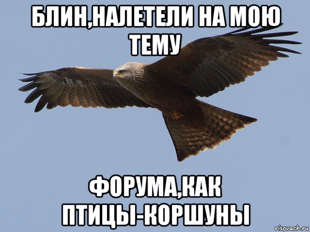 Только хотела прекратить...