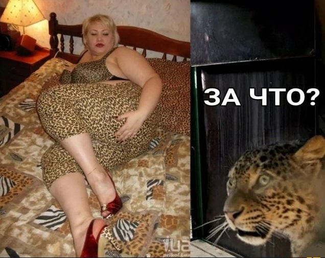 Картинки с претензией на юмор