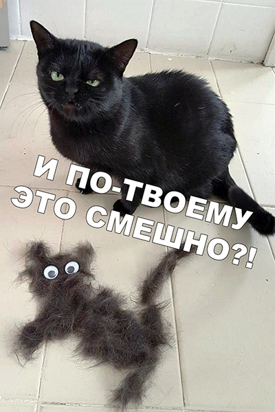 Немного картинок для настроения 18.10.19